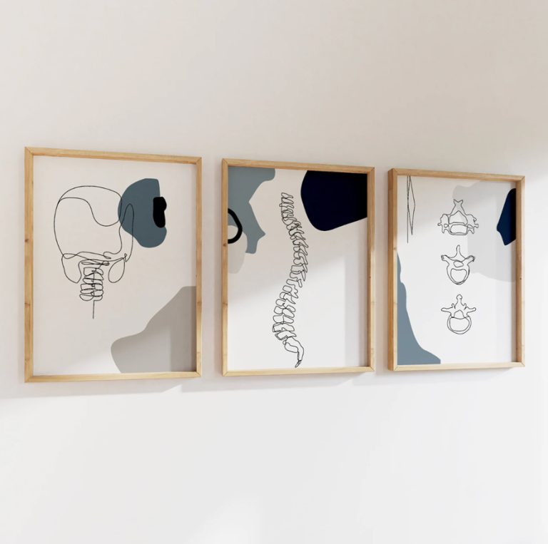 tableaux cabinet d’anatomie