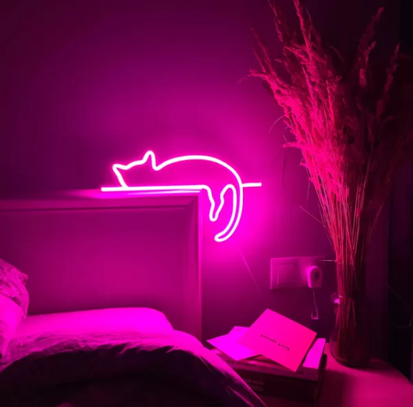 neon cat