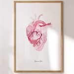 Décor Médical : Cœur Anatomique