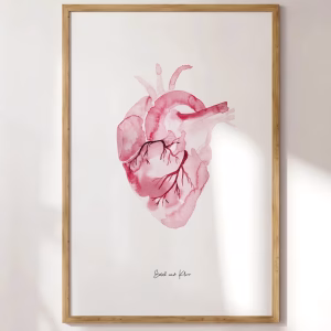Décor Médical : Cœur Anatomique