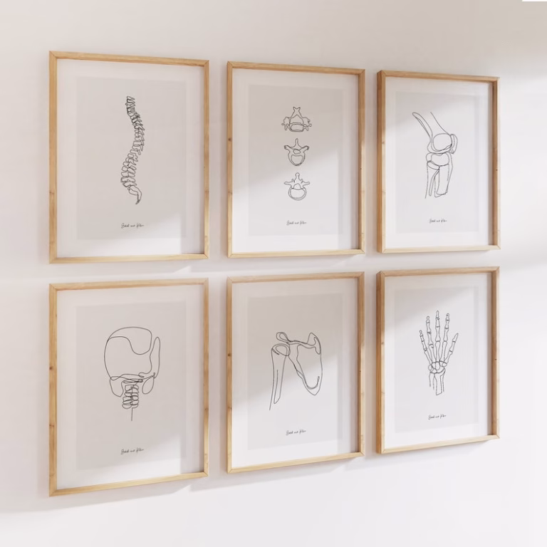 Plongez dans la beauté de l'anatomie humaine avec notre art mural anatomie – ensemble de dessins de squelette humain. Cette collection raffinée de dessins met en valeur la complexité du corps humain à travers des illustrations détaillées et artistiques du squelette humain.