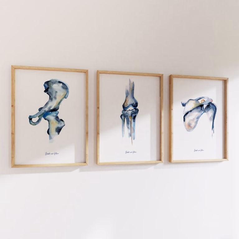 Décoration Chiropratique