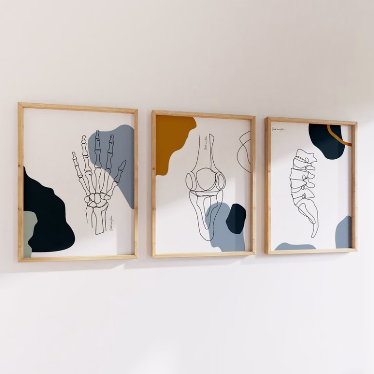Art Murale Médical – Vertèbres et Genou en Illustration Anatomique