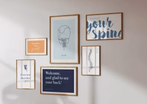 Décor Dentaire : Affiche Anatomique pour Chiropratique