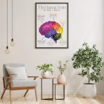 Décoration Murale Cerveau Humain – Neurosciences