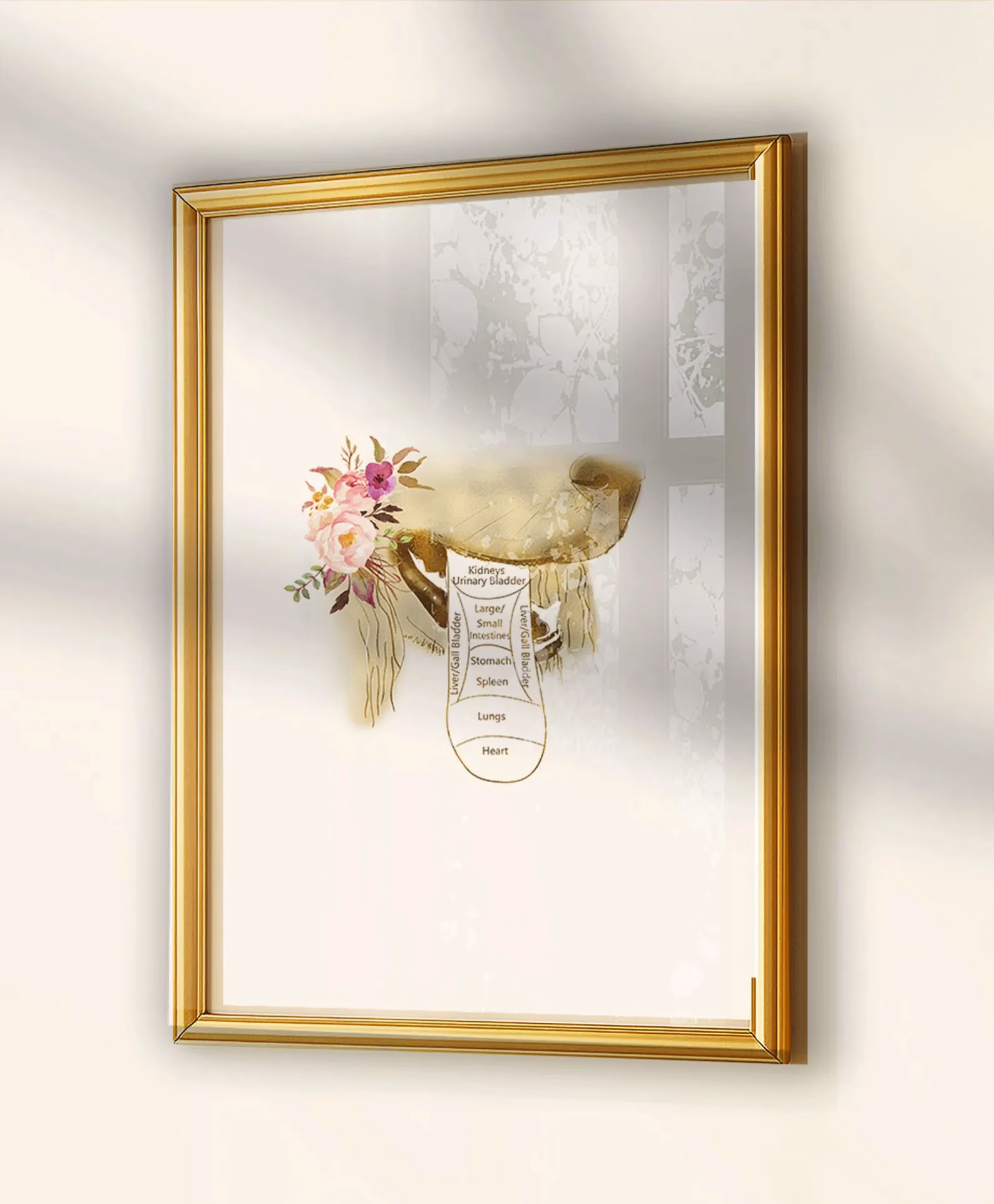 Ensemble d’affiches d’anatomie vétérinaire