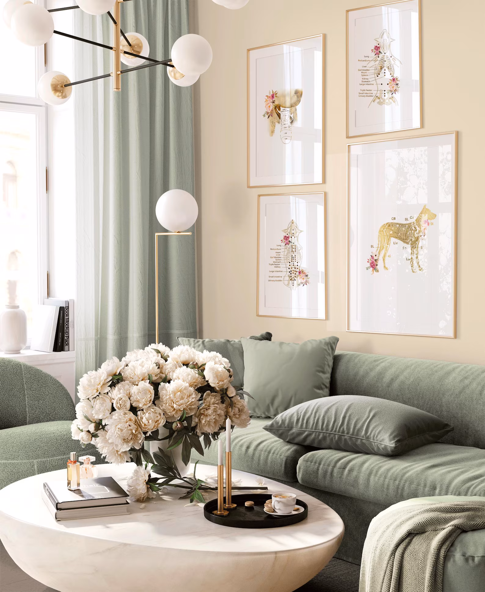 Ensemble d’affiches d’anatomie vétérinaire